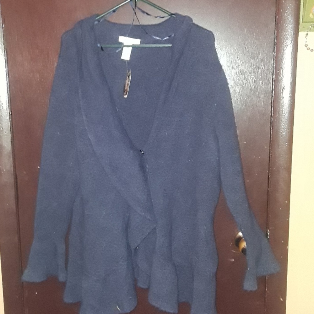 Susan Bristol sweater 2xl